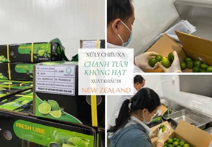 Chiếu xạ chanh tươi xuất khẩu sang thị trường New Zealand tại Nhà máy chiếu xạ Toàn Phát