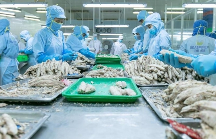 Nhờ EVFTA, xuất khẩu cá ngừ sang Italy tăng 3 lần