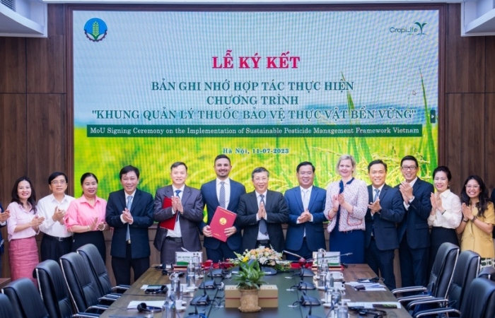 Triển khai dự án quản lý thuốc bảo vệ thực vật bền vững