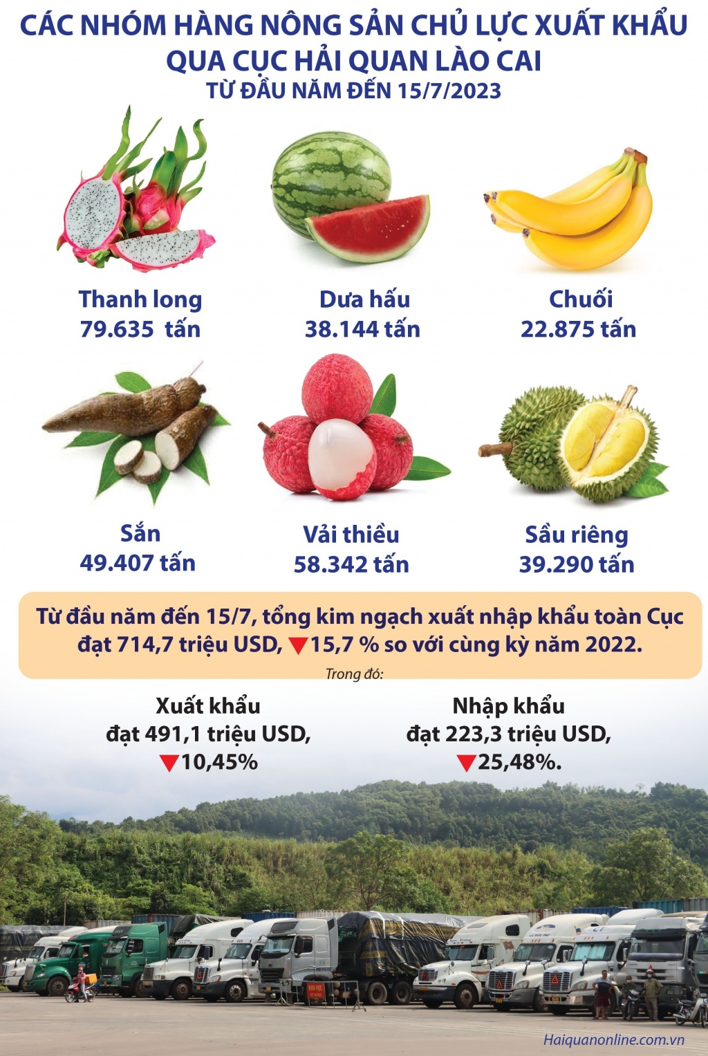 Infographics: Những nhóm hàng nông sản xuất khẩu nổi bật qua Hải quan Lào Cai