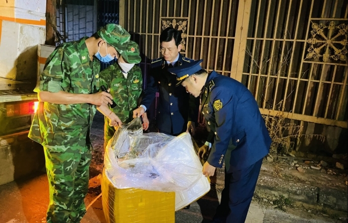 Kiểm soát chặt các trường hợp buôn bán, vận chuyển lợn trái phép