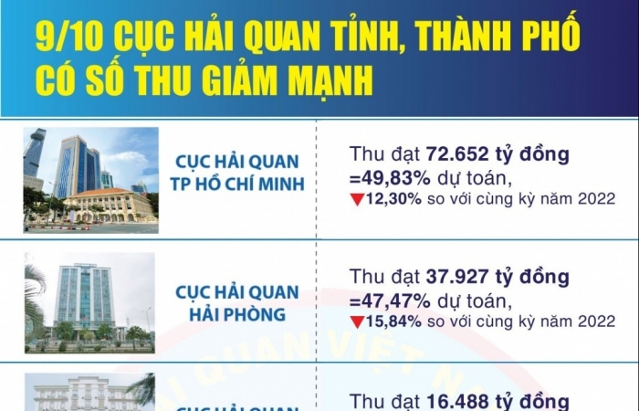 Infographics: 9/10 cục hải quan tỉnh, thành phố có số thu giảm mạnh