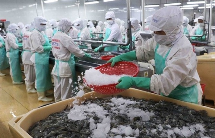 Kinh doanh, xuất khẩu tôm của FMC đã tích cực