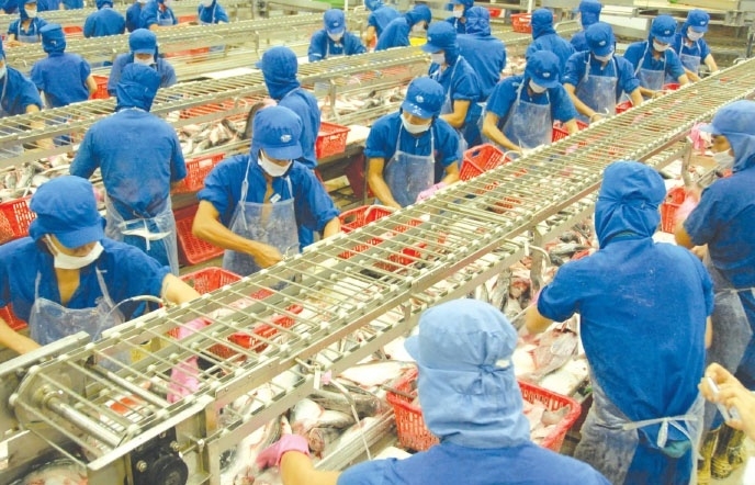 Xuất khẩu cá tra sắp cán đích 2 tỷ USD