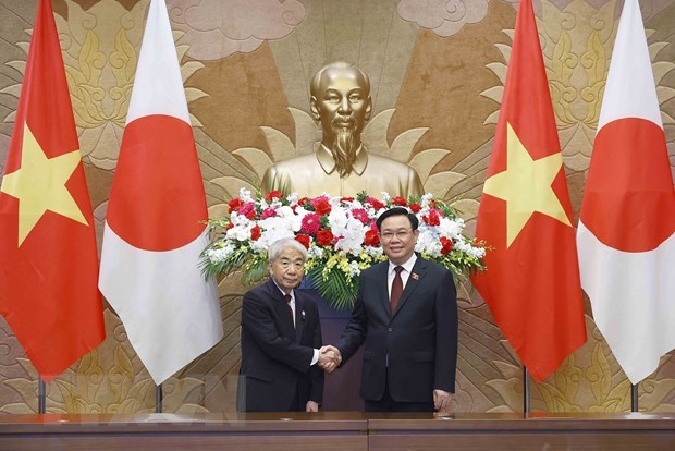 'Quan he Viet Nam-Nhat Ban xung tam Doi tac Chien luoc sau rong' hinh anh 1
