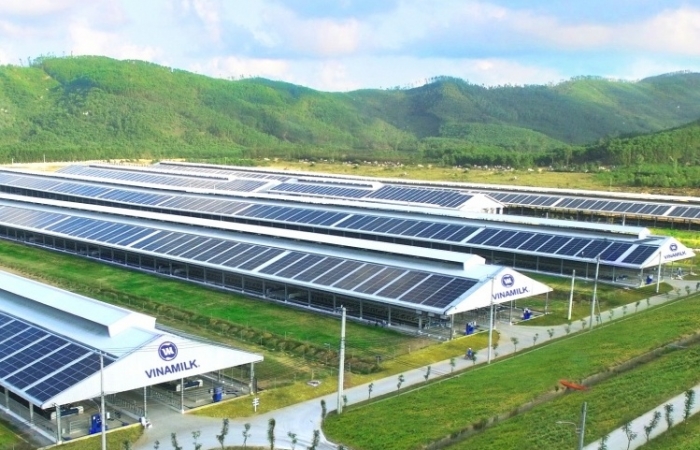 Doanh nghiệp cần hỗ trợ gì cho mục tiêu xanh hóa?
