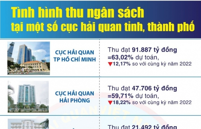 Infographics: Tình hình thu ngân sách tại một số cục hải quan tỉnh, thành phố