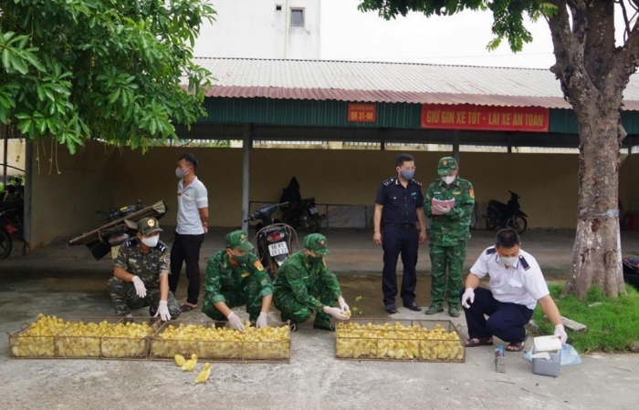 Lạng Sơn quyết liệt ngăn hàng lậu thời điểm trước Tết