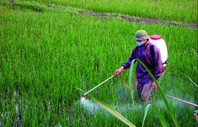 Tìm giải pháp để người dân "quen" dùng thuốc bảo vệ thực vật sinh học