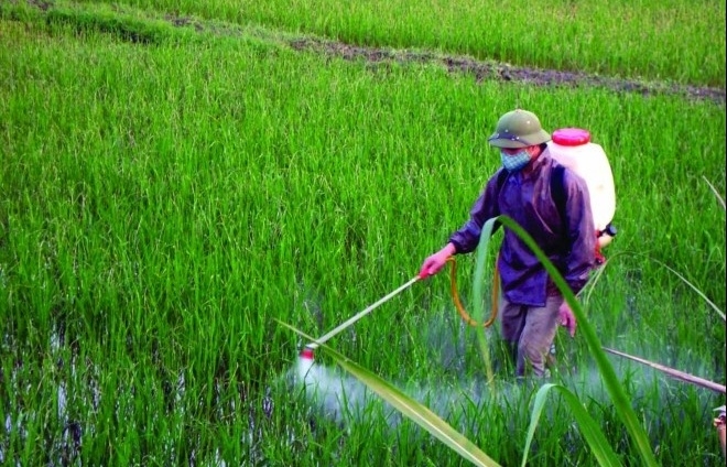 Tìm giải pháp để người dân "quen" dùng thuốc bảo vệ thực vật sinh học
