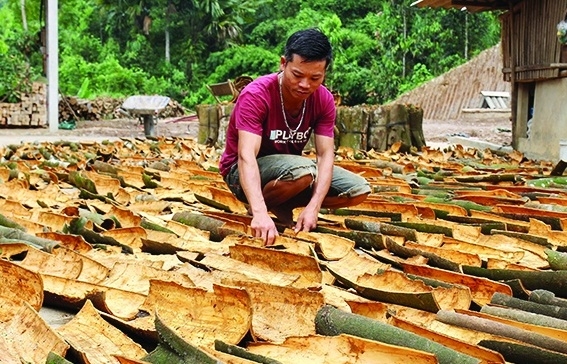 Để gia vị Việt chiếm lĩnh thị trường trọng điểm