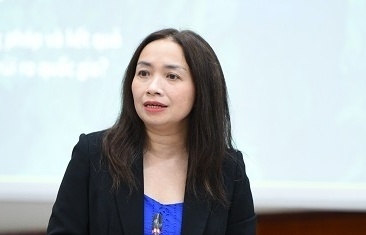 Giải pháp thích ứng với quy định chống phá rừng của EU