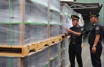 Chính phủ bãi bỏ toàn bộ hoặc một phần đối với 10 nghị định