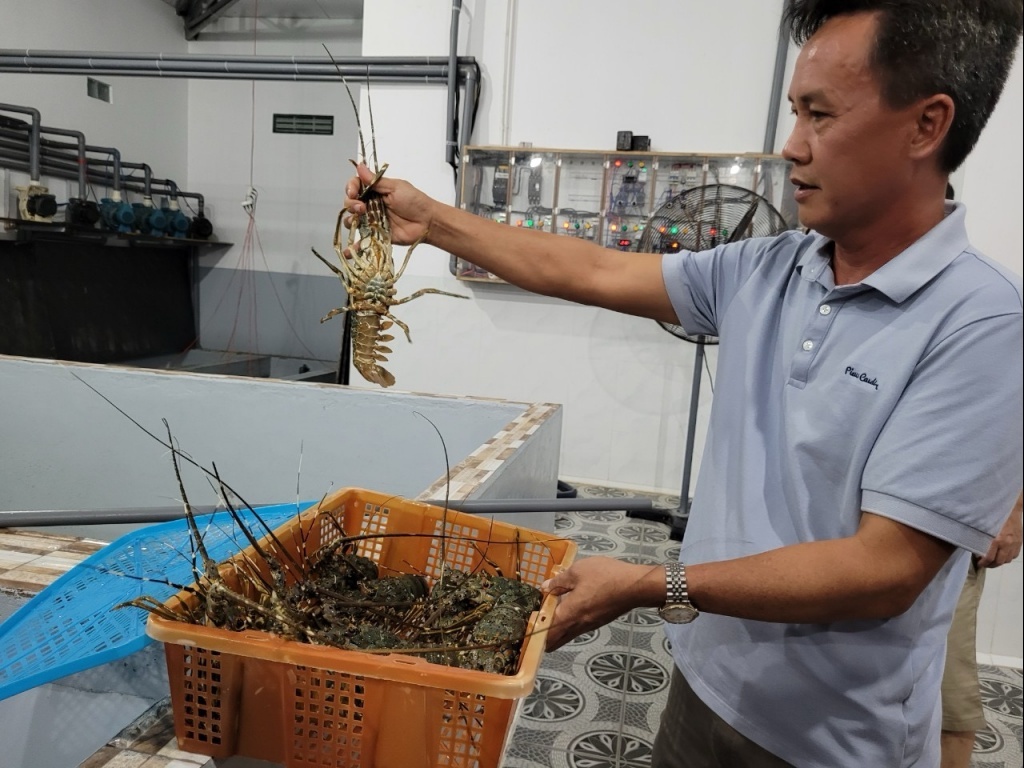 Phát triển nuôi tôm nước lợ, hướng đến mở rộng xuất khẩu