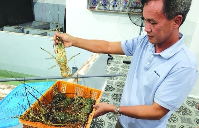 Xuất khẩu thuỷ sản tránh phụ thuộc vào nguyên liệu nhập khẩu