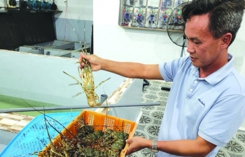 Xuất khẩu tôm sang Trung Quốc tăng trưởng bứt tốc