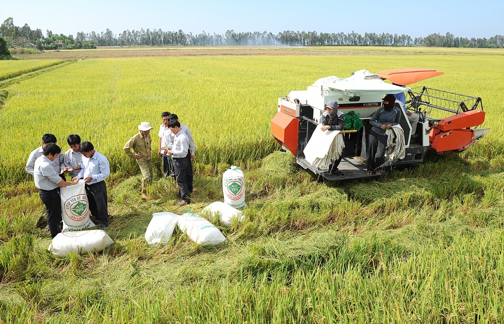 Việt Nam mới có 2 nông sản chủ lực được đăng ký bảo hộ