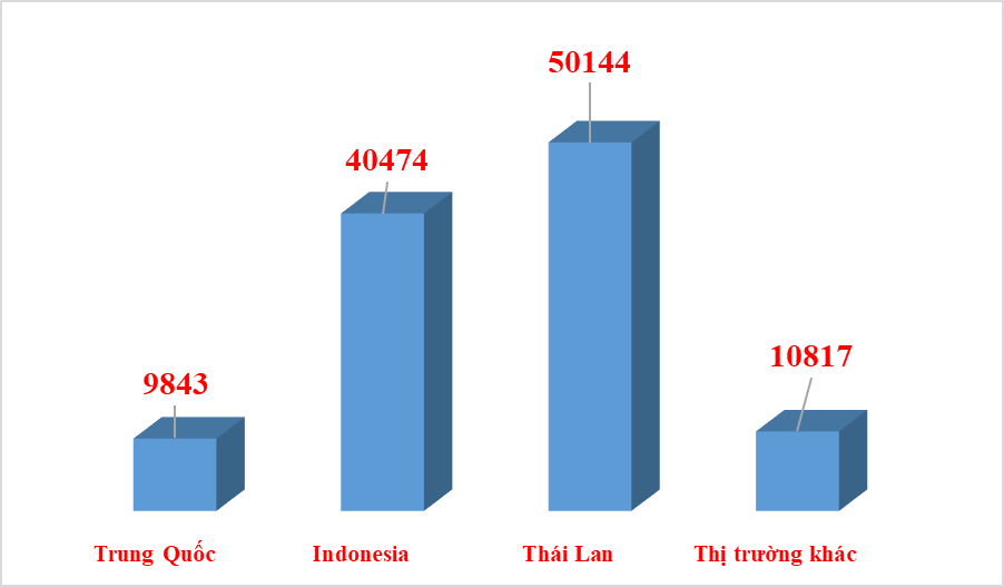 Ô tô nhập khẩu trong tháng 11 giảm mạnh