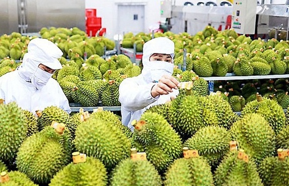Cơ hội mới cho nông sản Việt
