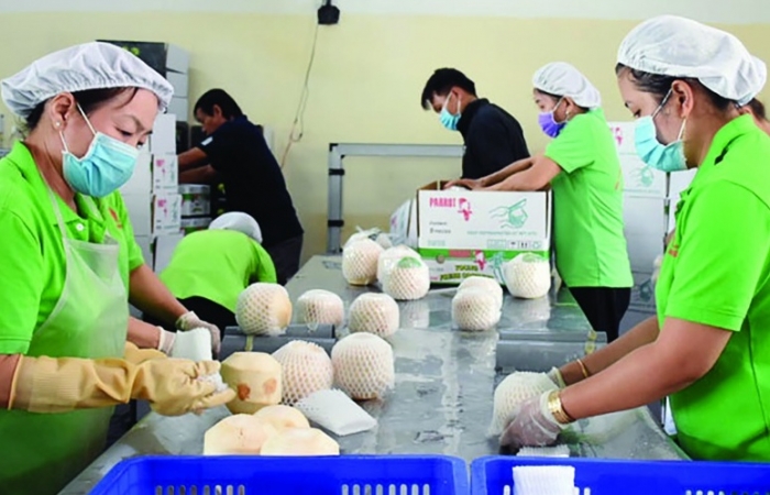Nâng sức cạnh tranh cho nông sản Việt tại Mỹ và EU bằng chất lượng và uy tín