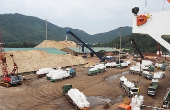 Hải quan Vũng Áng đồng bộ các giải pháp tăng thu ngân sách