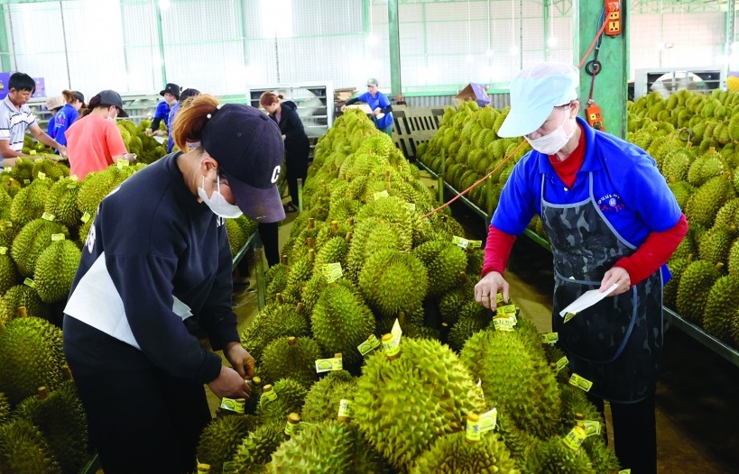 EU đề xuất thay đổi mức dư lượng tối đa trong nhiều sản phẩm nông sản của Việt Nam