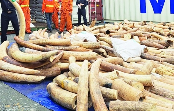 Ngành Hải quan với tinh thần “6 rõ” trong thực hiện chống buôn lậu