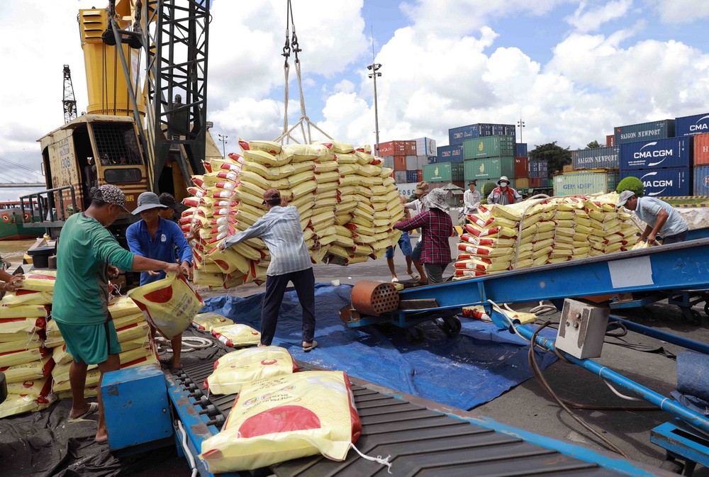 Gạo Việt Nam chiếm 85% gạo nhập khẩu của Philippines Gạo Việt Nam chiếm 85% gạo nhập khẩu của Philippines