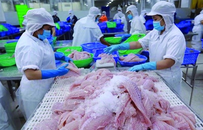 Xuất khẩu cá tra vượt 1 tỷ USD