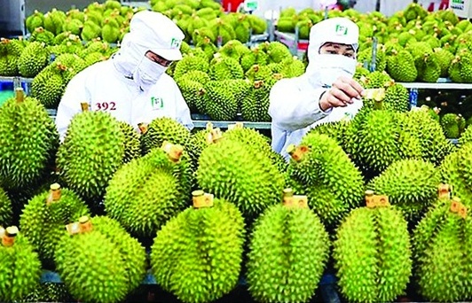 Xuất khẩu: Nhìn lại và đi tới - Bài 2: Nông sản thắng lớn - Trụ đỡ của xuất khẩu 2023