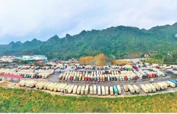 Hải quan với nhiều giải pháp triển khai thu ngân sách ở chặng nước rút