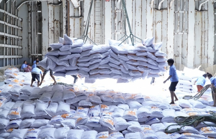 Việt Nam trúng 10/17 gói thầu 500.000 tấn gạo của Indonesia