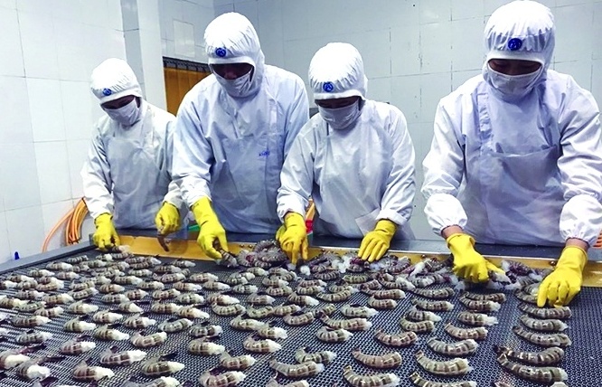 Doanh nghiệp thích ứng nhanh, xuất khẩu thủy sản cán mốc trên 8 tỷ USD