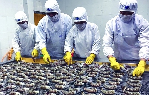 Doanh nghiệp chủ động xuất khẩu bền vững bằng chính thương hiệu