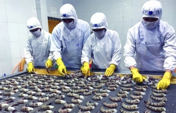 Doanh nghiệp thích ứng nhanh, xuất khẩu thủy sản cán mốc trên 8 tỷ USD