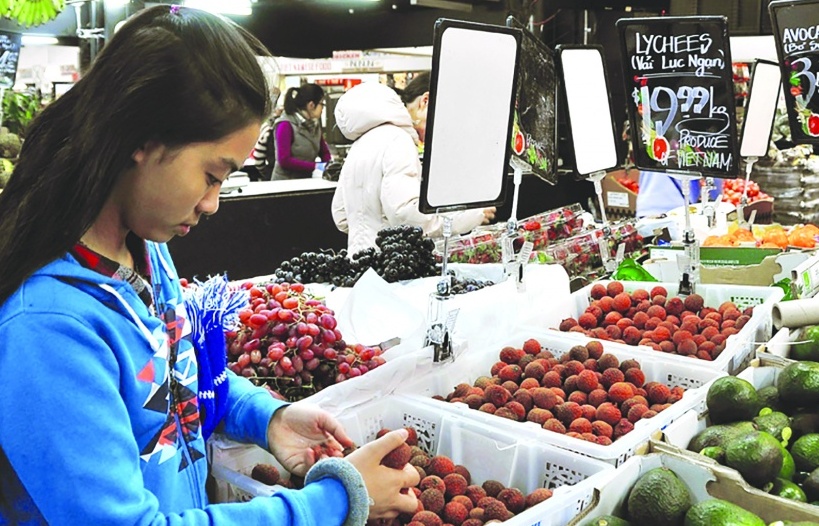 Xây dựng thương hiệu hàng Việt tại nước ngoài: Bài học từ sự bền bỉ