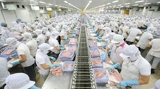 Xuất khẩu cá tra sang Hàn quốc tăng 3,5 lần