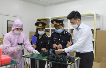 Thủ tục hải quan và chính sách thuế đối với hàng hóa nhập khẩu tại chỗ