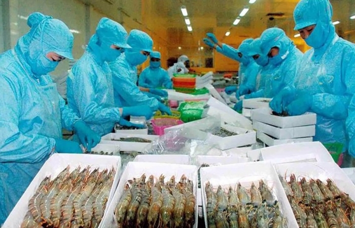 Doanh nghiệp thủy sản kiến nghị về chỉ tiêu kháng sinh, hạn ngạch xuất khẩu