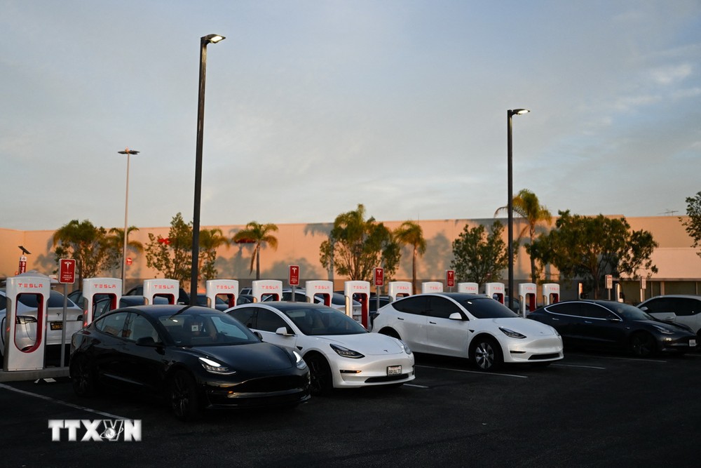 Các xe ôtô điện của Tesla tại trạm sạc ở California, Mỹ. (Ảnh: AFP/TTXVN)