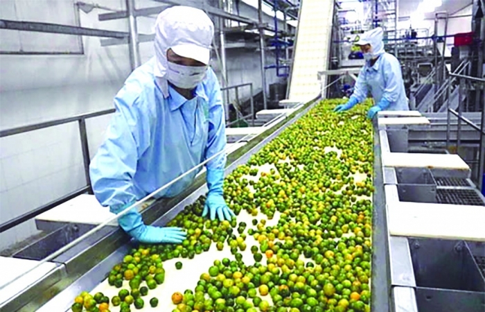 Đề xuất tiếp tục giảm 2% thuế GTGT để hỗ trợ người dân, doanh nghiệp