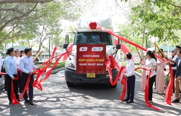 Từ lô hàng XK củ sen sang Nhật Bản, Đồng Tháp kỳ vọng mở rộng sang nhiều nước