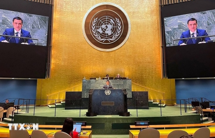 Việt Nam ủng hộ nghị quyết Đại hội đồng về vấn đề thành viên LHQ của Palestine
