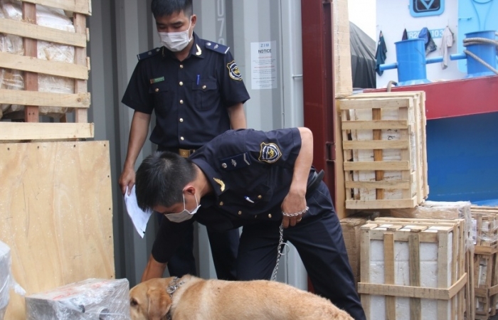 Ngăn chặn tội phạm “đội lốt” doanh nghiệp