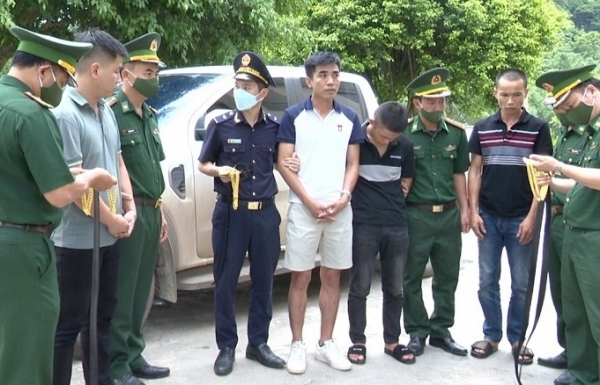 haiquanonline.com.vn