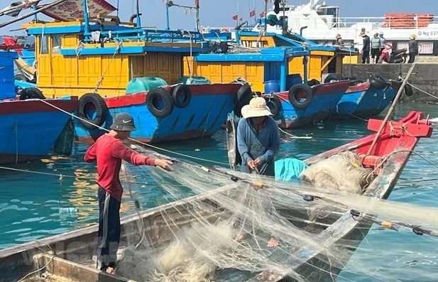 Tập trung thực hiện tháng cao điểm chống khai thác hải sản bất hợp pháp