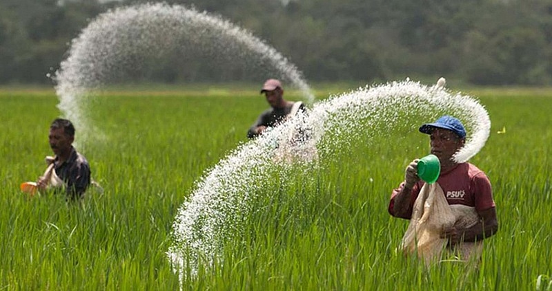 Có nhiều lợi ích rất cụ thể khi áp dụng thuế GTGT 5% với ngành phân bón. 	Ảnh: ST