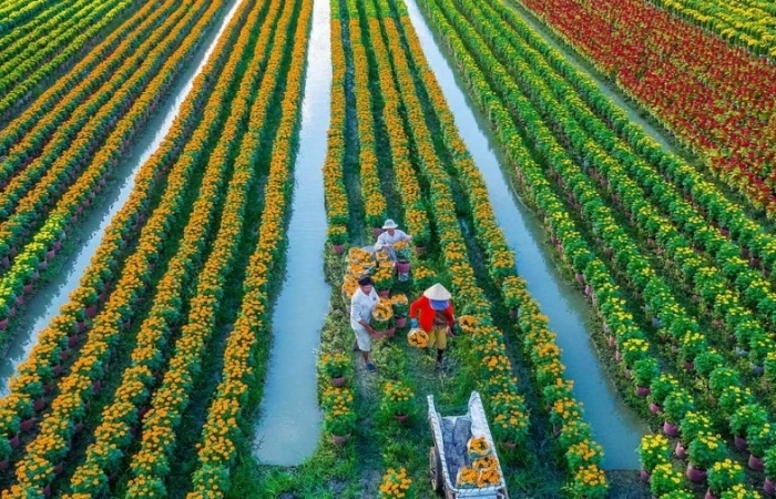 Đề xuất hai phương án miễn thuế sử dụng đất nông nghiệp