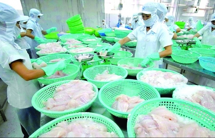 Hướng đi mới của hai mặt hàng xuất khẩu chủ lực của ngành thủy sản