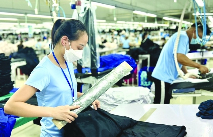 Thích ứng kịp thời trước biến động thị trường để xuất khẩu bền vững